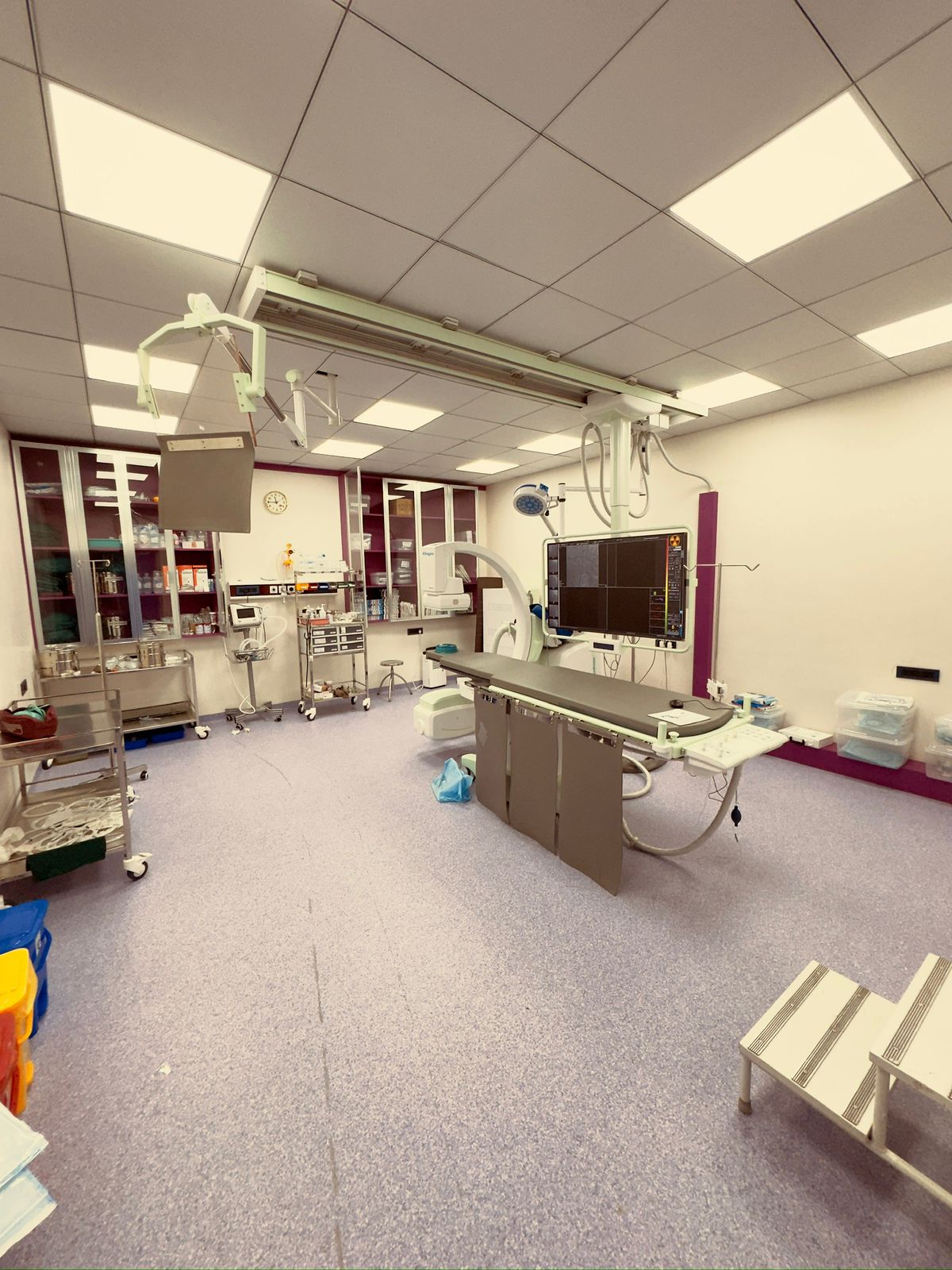 lab